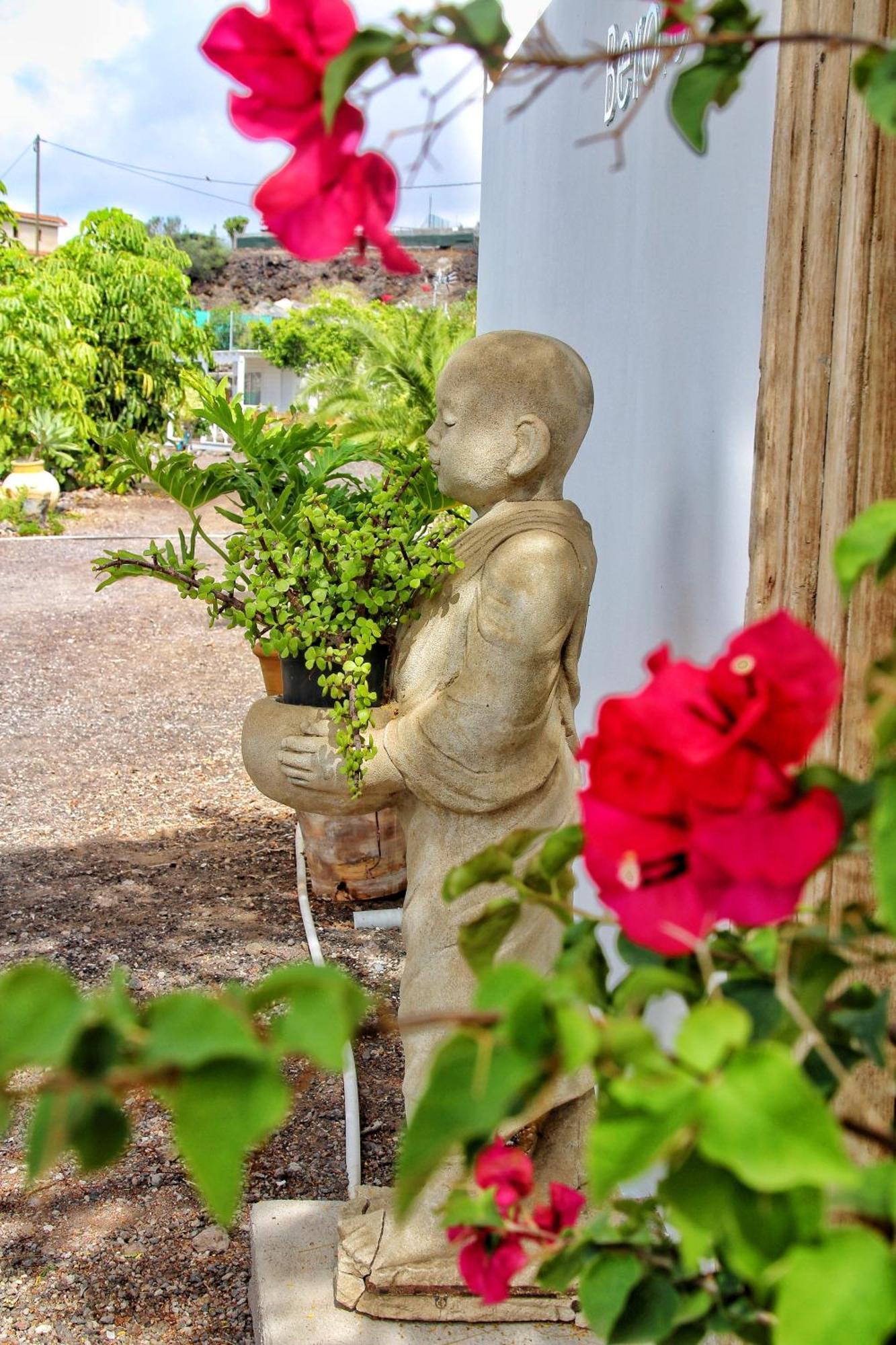 Finca Berolo 1 Guía de Isora Zewnętrze zdjęcie